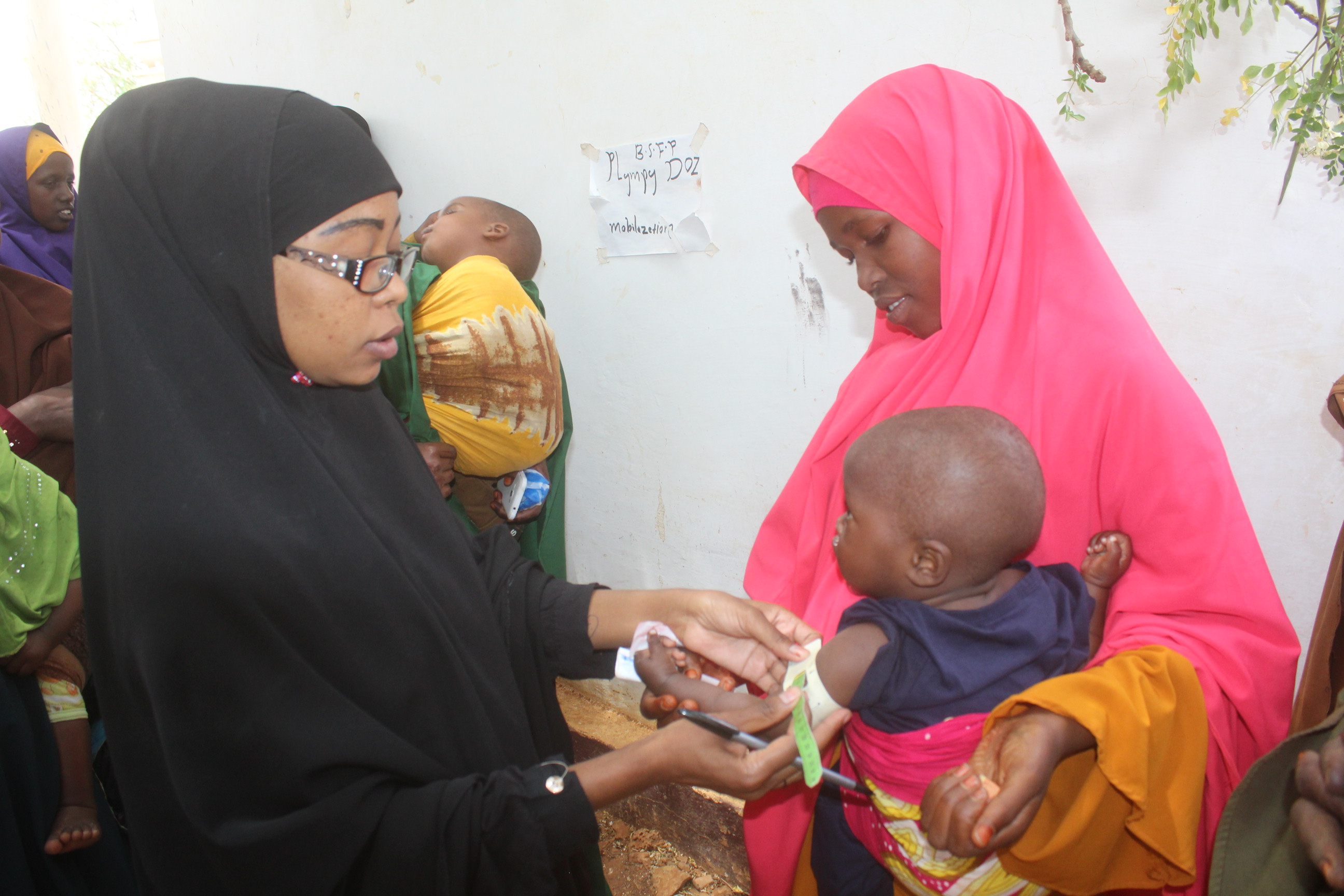 Summary Supplementary Feeding Programme Report for August 2019 (Towfiiq